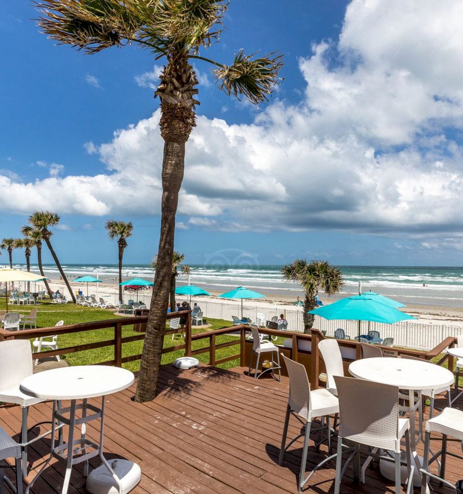 Daytona Beach Restaurant & Bar With Ocean Views Mango Sun Cafe & Tiki Bar